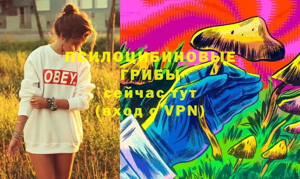 метадон Липки