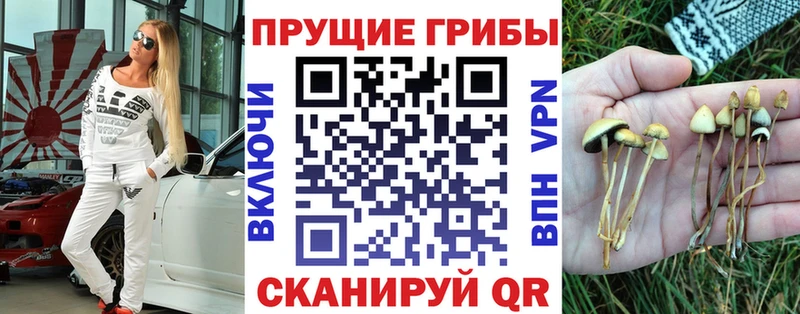 Псилоцибиновые грибы Psilocybine cubensis  Чайковский 